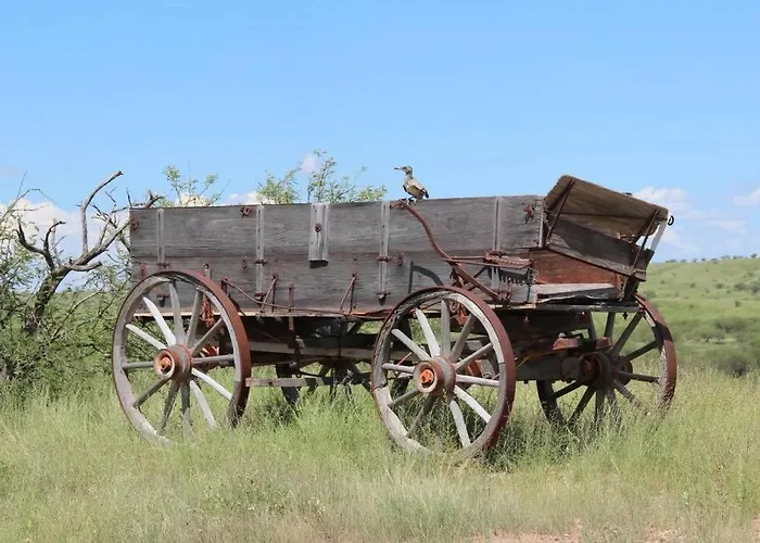 Gallo Libre Ranch House In Arivaca, Az Holiday home Arivaca